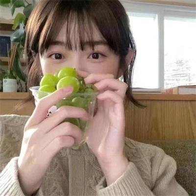 郁金香芳芳